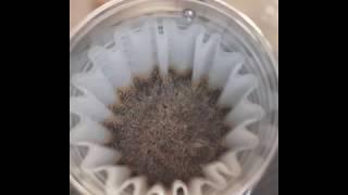 melodrip