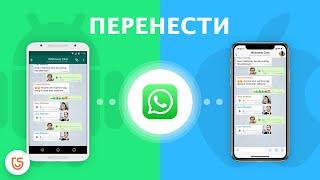 Как перенести whatsapp с android на iphone 13?[2021]