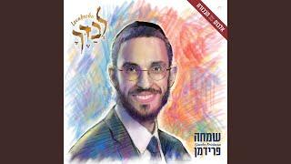 ניגון מדוקשיץ