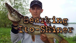 Megabass Ito-Shiner 115 SP - хорошо, но Bearking Ito Shiner 115 - ничем не хуже!