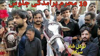 10 Muharram Jaloos Baramdgi 2024 Man Tawakal Shah Sarkar Ghulaman e Dar e Batool Attock