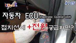 차박사TV_105회 자동차 ecu 접지선에 +전원 공급하면? What if I + power the car ecu ground wire?