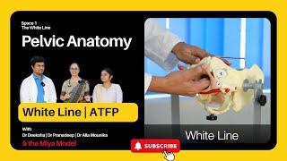 White Line | ATFP | Pelvic Anatomy for Gynecologists' & Urogynecologists' | Nine spaces of Pelvis