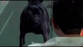 Doritos - Comercial de TV - Propaganda com Pug - Super Bowl 2012