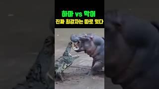누가 봐도 미친 짓인데…