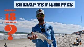 Best Surf Fishing Bait: Part 1 - Shrimp vs Fishbites