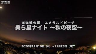 海洋博公園　エメラルドビーチ　美ら星ナイト～秋の夜空～