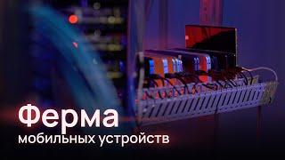 Мобильная ферма Selectel