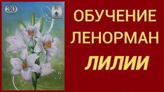 Обучение гаданию на Оракуле Ленорман. Карта Лилии.