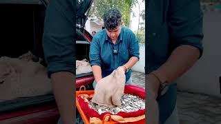 Buying Car with Coins