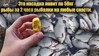 Рыба клюёт на каждом забросе на это! Рыбак показал как сделать супер насадку для рыбалки!