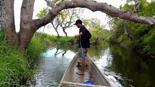 EP,37 Electric fishing ang lakas Ng bagong Imverter angst ang tilapia at dalag