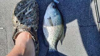 New spot on Lake Hickory for Crappie