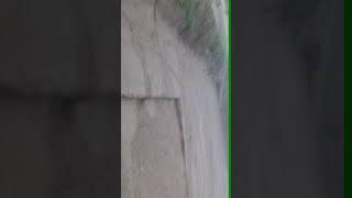 Регар Чамоати работ ширкент(1)