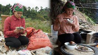 Tu Nhat Pick lemons sell at the market,has collect scrap metal earn money to support herself.