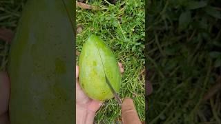 The Smart Mango Cut! #cuttingskills #fruitcutting #mango