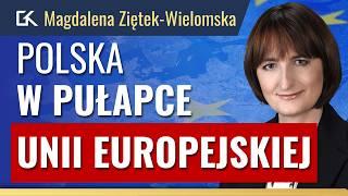 CZŁONKOSTWO w UE: LEPSZA POLSKA czy GOSPODARCZA PUŁAPKA? – Magdalena Ziętek-Wielomska | 397