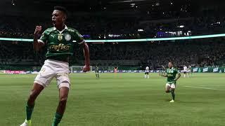 Palmeiras diminui vantagem do líder Botafogo