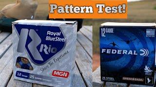 12 Gauge Pattern Test! Federal and Rio!