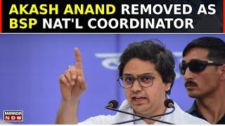 Big Shakeup In Bahujan Samaj Party | Mayawati Removes Nephew Akash Anand As National Coordinator