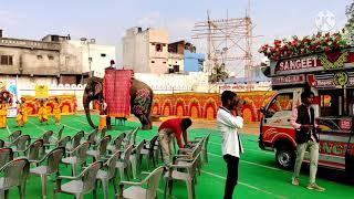 sangeet band Chittorgarh