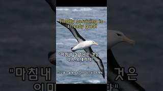살아 남는 것이 위대하다 #존버#버티는자가이기는자#shorts
