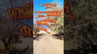 Ейск лучшая альтернатива Анапе в 2025