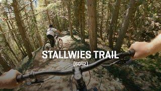 Stallwies Trail ⭐ the "Silent Side" of Sölden delivers the finest trails!