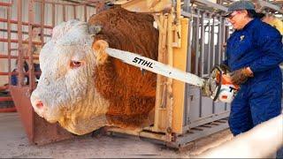 Modern Farming Machines That Are At Another Level