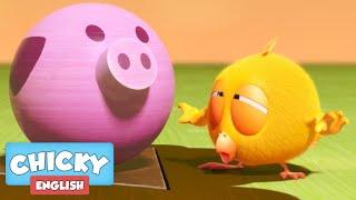 Where's Chicky? Funny Chicky 2020 | CHICKY PIG | Chicky Cartoon in English for Kids