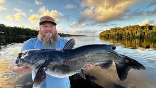 3 Days catching Catfish, Shrimp, & Crabs on the River!