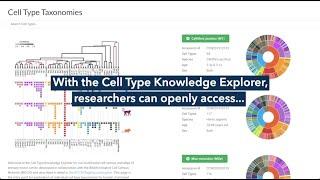 Cell Type Knowledge Explorer