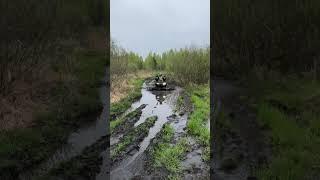Мои выходные  #irbistv #automobile #квадроцикл #offroad