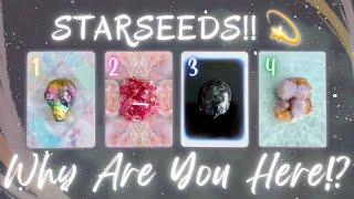 STARSEEDS Why Did You Come to Earth? Pick a Card *Timeless* COLLAB w/ @KinoTarot 