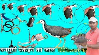 How to Make Water Bird Trap. Waterhen Making Trap.Vangurgi ka Jal.#birdtrap#waterbirdtrap#waterbird.