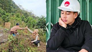 The mysterious mountain and the poor boy and girl's journey to find ginseng.