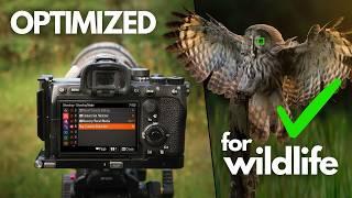 My Top 5 Sony Custom Functions - Bird & Wildlife Photography