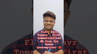 Flavr Savr Tomato – First Commercialized GM Crop for Human Consumption! 