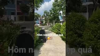 KĐT Sun Casa Central thật xanh mát #tanuyen #suncasacentral #vsip2 #nhapho #vsip