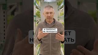 Ешьте ЭТУ зелень, чтобы ПОХУДЕТЬ! #зелень #похудение