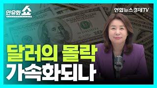 미국의 자국 우선 통화정책이 불러온 재앙 | 안유화쇼 34-1부