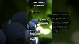 Jesus Taught   The Vine and Branches ...  #jesus #jesusquotes