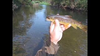 Wisconsin Trout Fishing - 9/8/2024  XTU S6 fishing