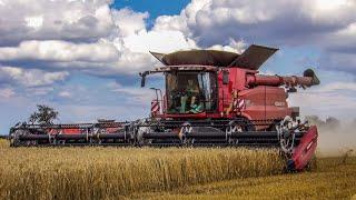 Žně 2024 I 3x Case IH Axial-Flow (9250,8230) & Claas Lexion 6800 ️🩶