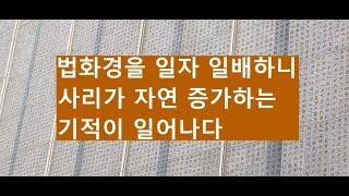 195. 도림스님의 수행담 2편 (2023.11. 7)