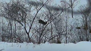ドカ雪（５０ｃｍ）後のエゾシカハンティングは別次元だ！