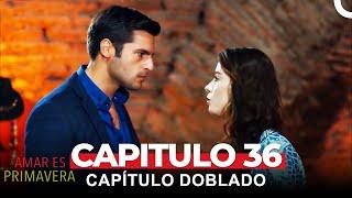 Amar Es Primavera Capítulo 36 (Doblado en Español)