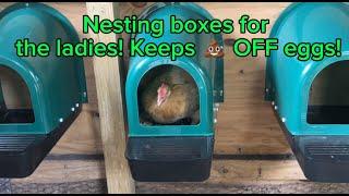 5 Pack Nesting Boxes for Chicken Coop - Chicken Nesting Box for Laying Eggs - Review!