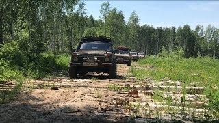 Нивы в тайге. Таежный зов. 4х4. Off- road. Омск.