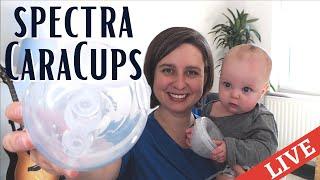 CaraCups from Spectra Review | CARACUPS VS FREEMIE CUPS